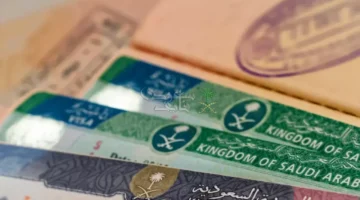 التأشيرة العائلية في السعودية قرار الجوازات بتعليق الخدمة يؤثر على آلاف الأسر 1